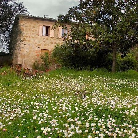 Villa La Vigna Agriturismo Siena Exterior foto