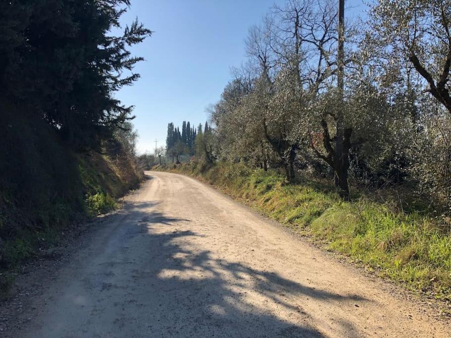 Villa La Vigna Agriturismo Siena Exterior foto
