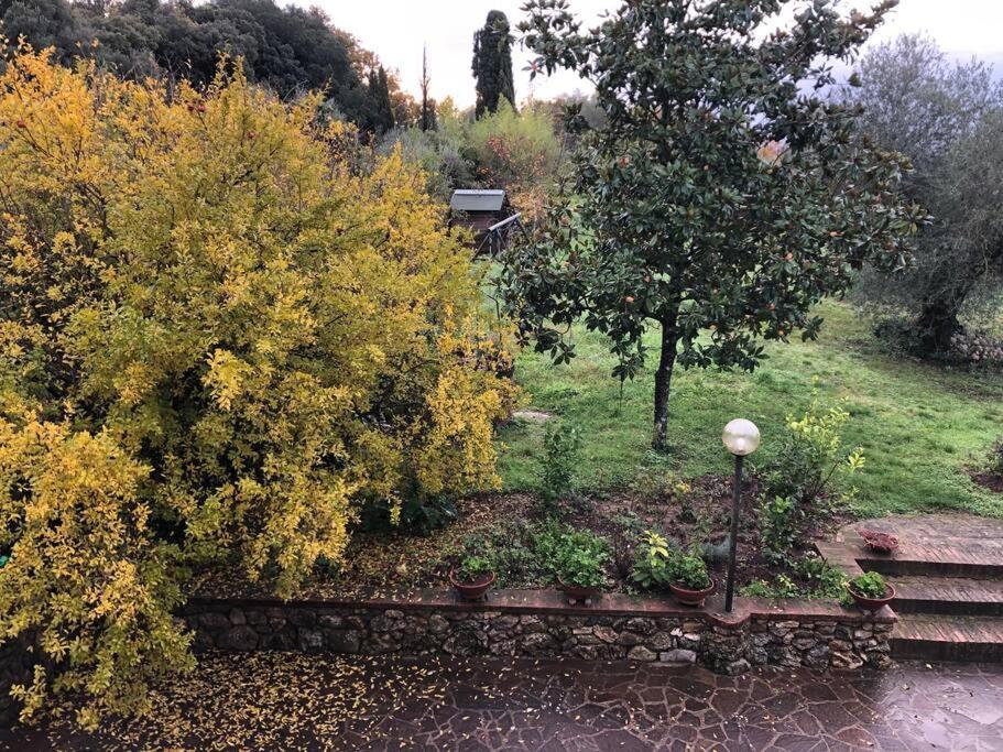 Villa La Vigna Agriturismo Siena Exterior foto