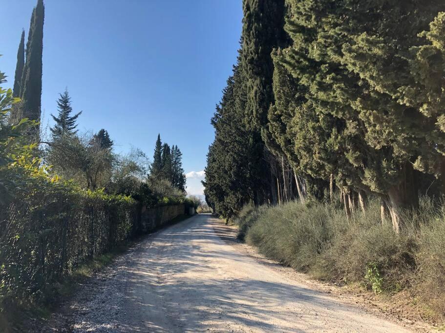 Villa La Vigna Agriturismo Siena Exterior foto