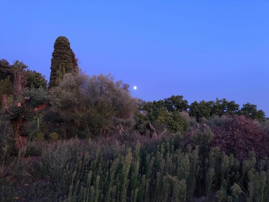 Villa La Vigna Agriturismo Siena Exterior foto