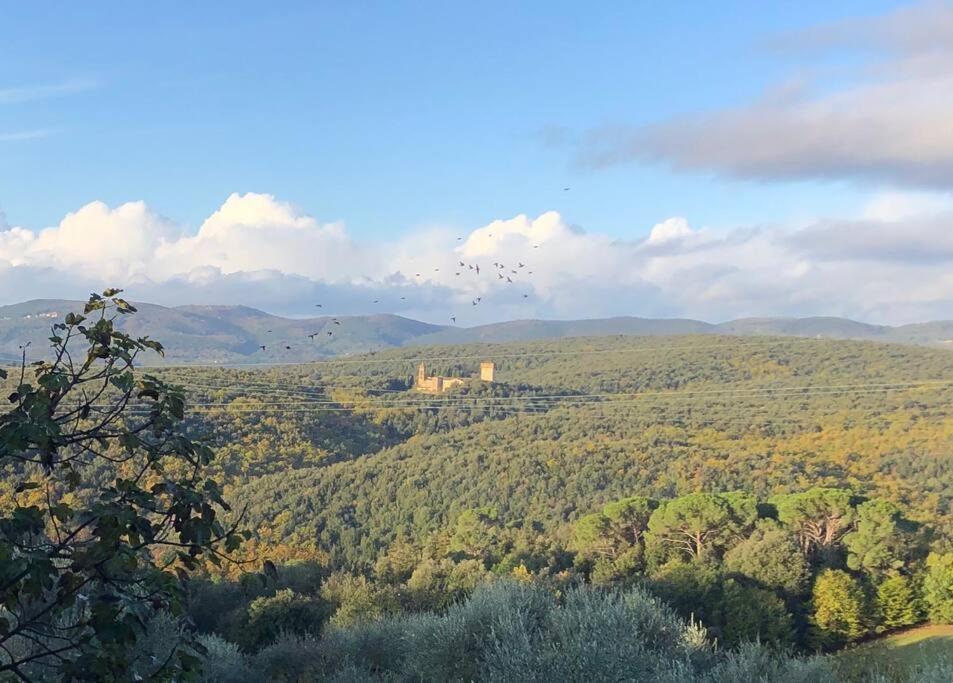 Villa La Vigna Agriturismo Siena Exterior foto