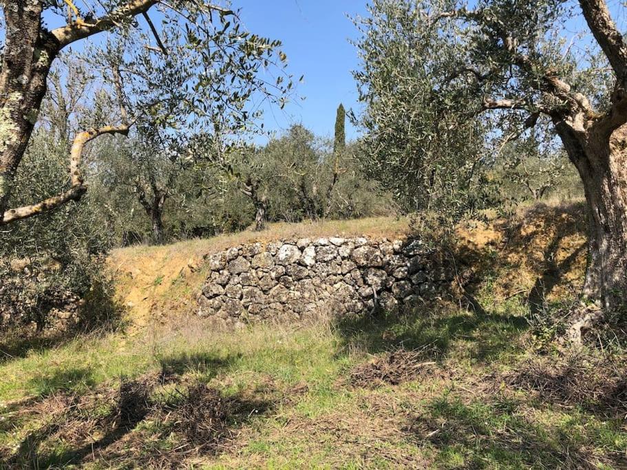 Villa La Vigna Agriturismo Siena Exterior foto
