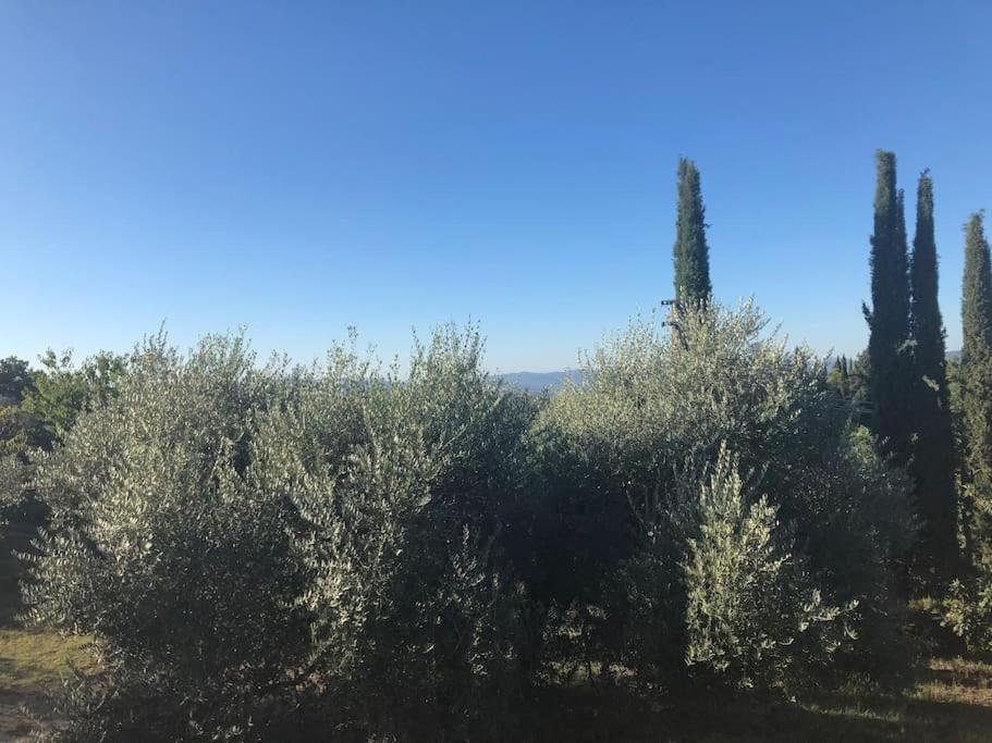 Villa La Vigna Agriturismo Siena Exterior foto