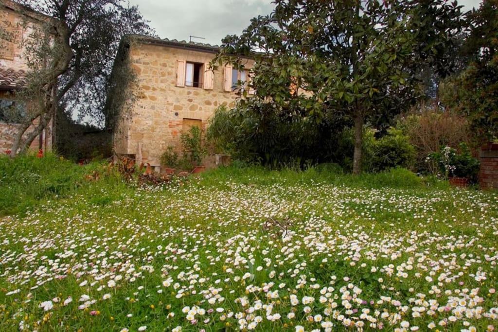 Villa La Vigna Agriturismo Siena Exterior foto